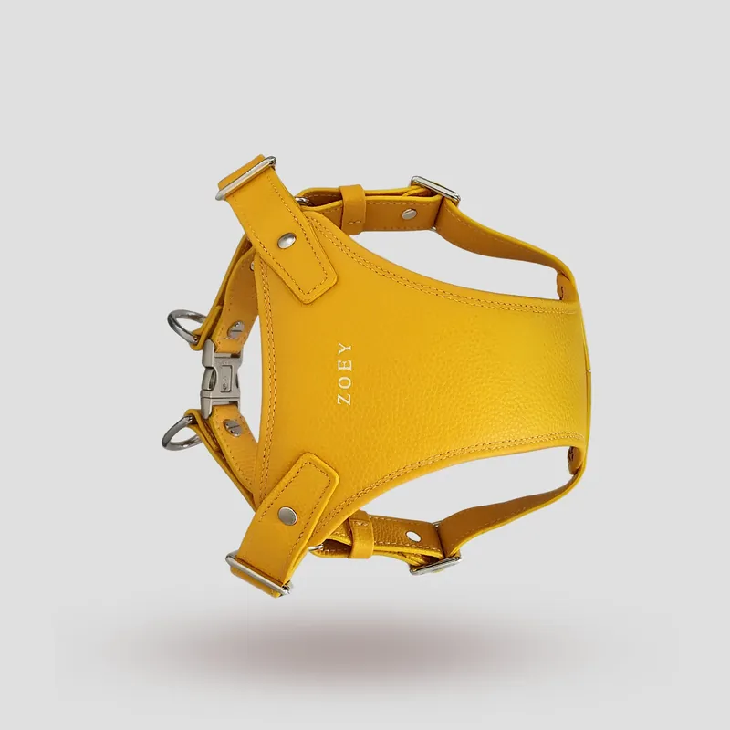 A custom dog harness handcrafted in yellow premium cowhide leather.